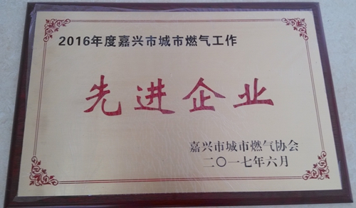 2016年度嘉興市城市燃?xì)夤ぷ飨冗M(jìn)企業(yè).jpg 2016年度嘉興市城市燃?xì)夤ぷ飨冗M(jìn)企業(yè).jpg
